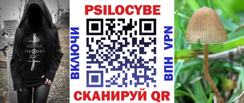 Галлюциногенные грибы мицелий  купить  сайты  кракен маркетплейс  Боровичи 